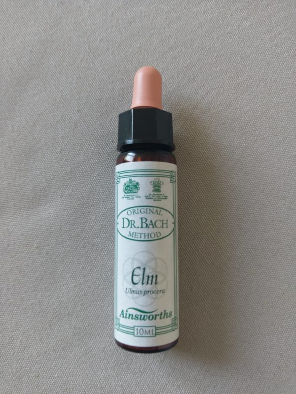 Elm